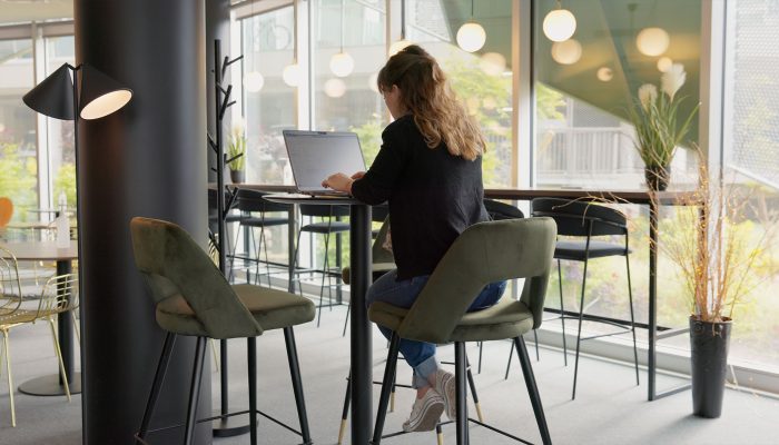 thomas-brard-decoration-ameublement-ambiance-bureau-10